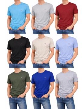 Koszulki męskie hurt – T-shirt FLAGA bawełniany z Turcji M-2XL