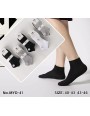 Stopki Męskie Bawełniane do sneakerów 40-46 MYD-41